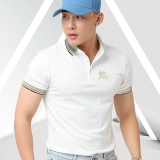 Áo thun nam có cổ, áo thun nam tay ngắn chất cotton co giãn mềm, chuẩn form, hình shop tự chụp ARY HOUSE A97