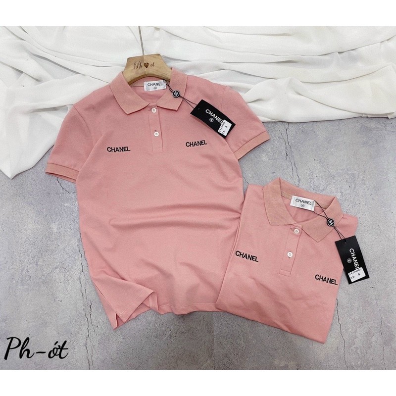 áo pull polo cổ đức chaneo