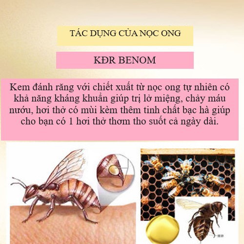 Kem đánh răng nọc Ong tự nhiên chống viêm nứu, sâu răng giảm ê buốt răng Be Venom 110g