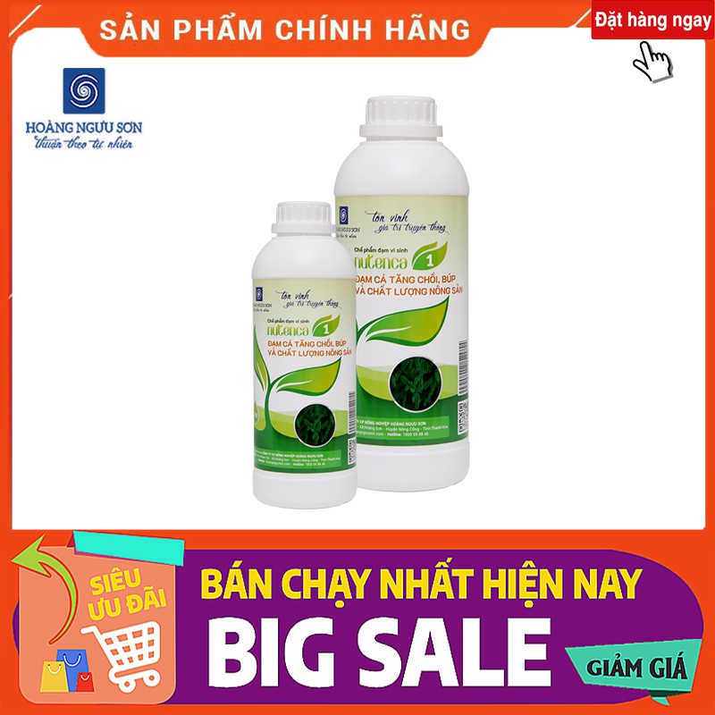 ĐẠM CÁ TĂNG CHỒI, BÚP VÀ CHẤT LƯỢNG NÔNG SẢN QUẢ TO ĐỀU, MẪU MÃ ĐẸP, BÓNG TRÁI, TƯƠI NGON