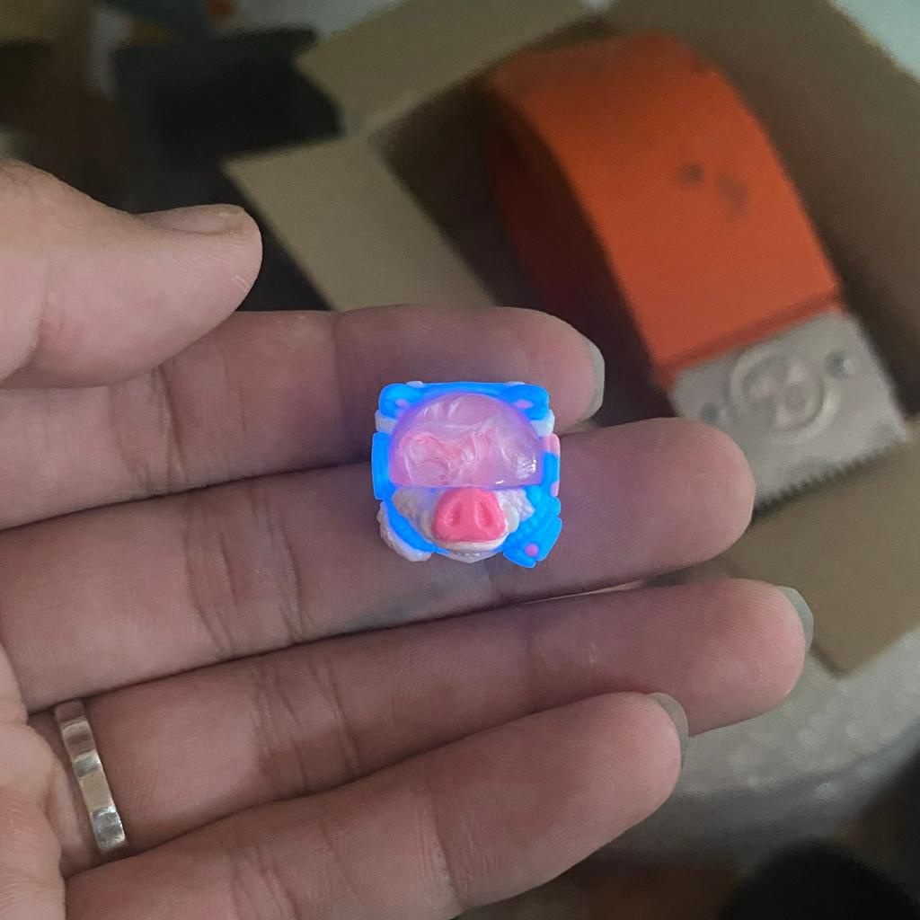 Artisan Keycap nút bàn phím cơ Pocus 02