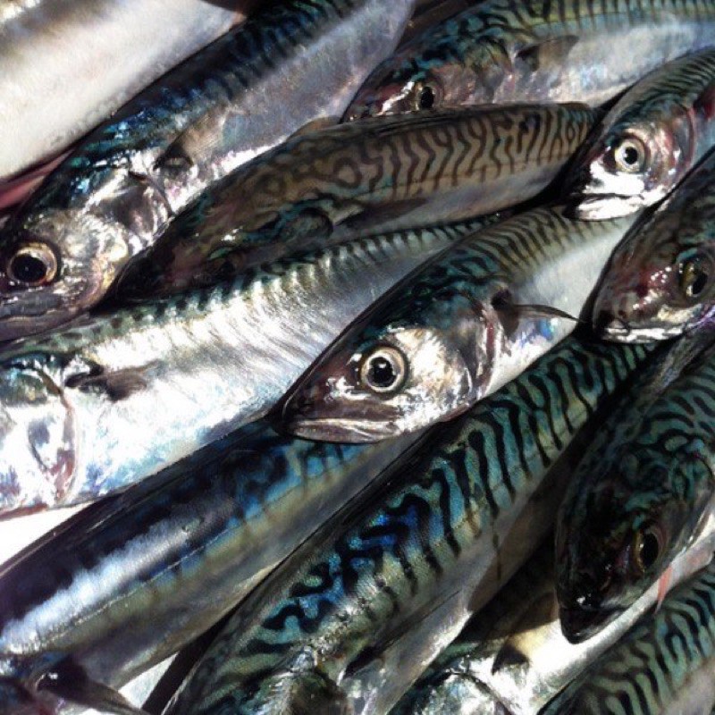 Cá Saba Nauy Fillet 150gram .