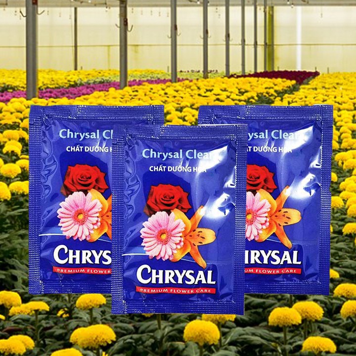 Thuốc Dưỡng Hoa Chrysal  - Dưỡng Hoa Lâu Tàn, chất dưỡng hoa tươi