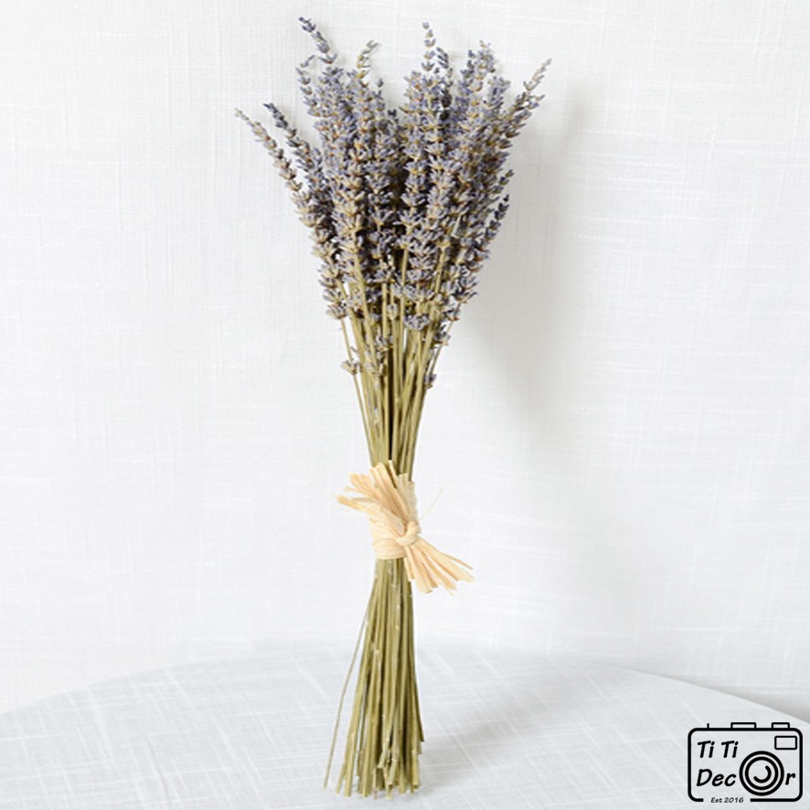 Bó hoa Lavender khô decor chụp ảnh sản phẩm, trang trí nhà cửa, cửa hàng, làm quà tặng