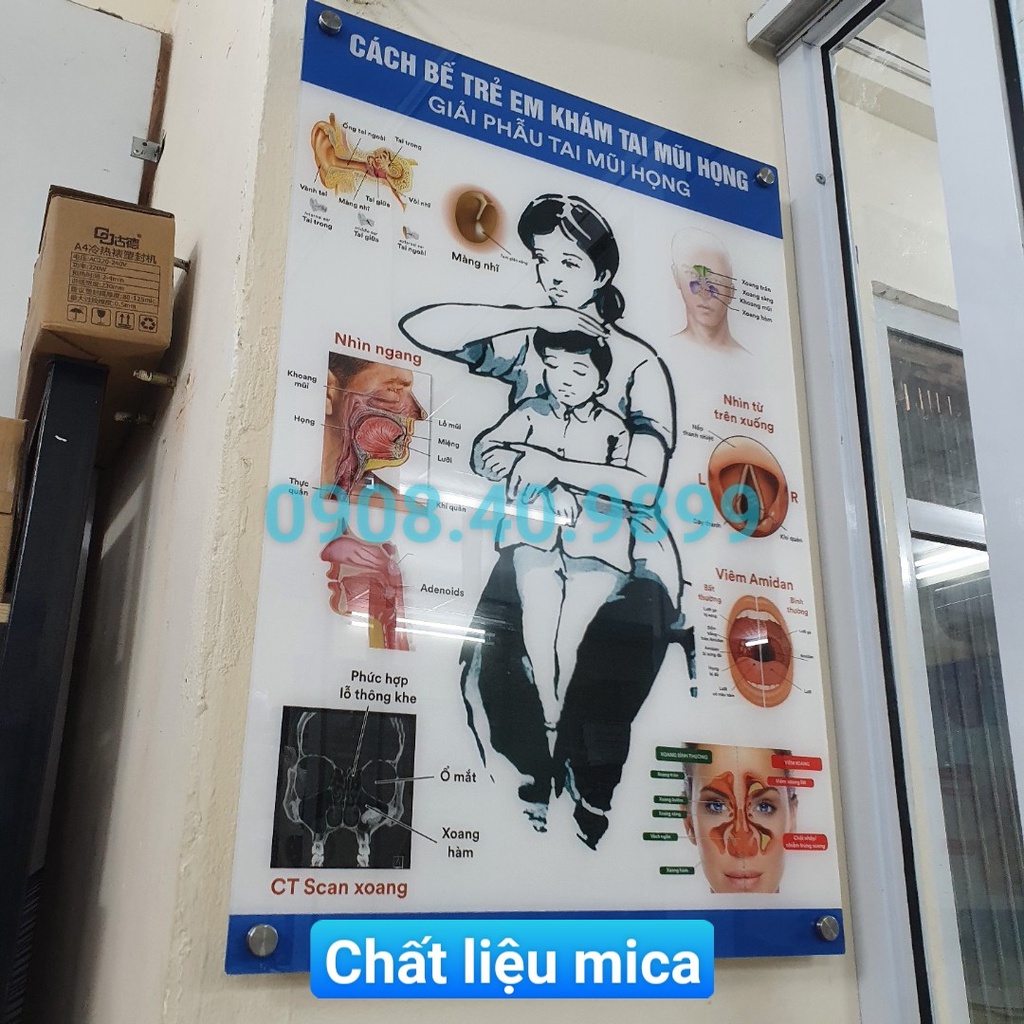 Tranh Cách bế trẻ em khám Tai Mũi Họng, giải phẫu Tai Mũi Họng- chất liệu GỖ/ MICA