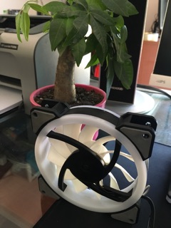 FAN TRANG TRÍ CASE RGB YTCOOL