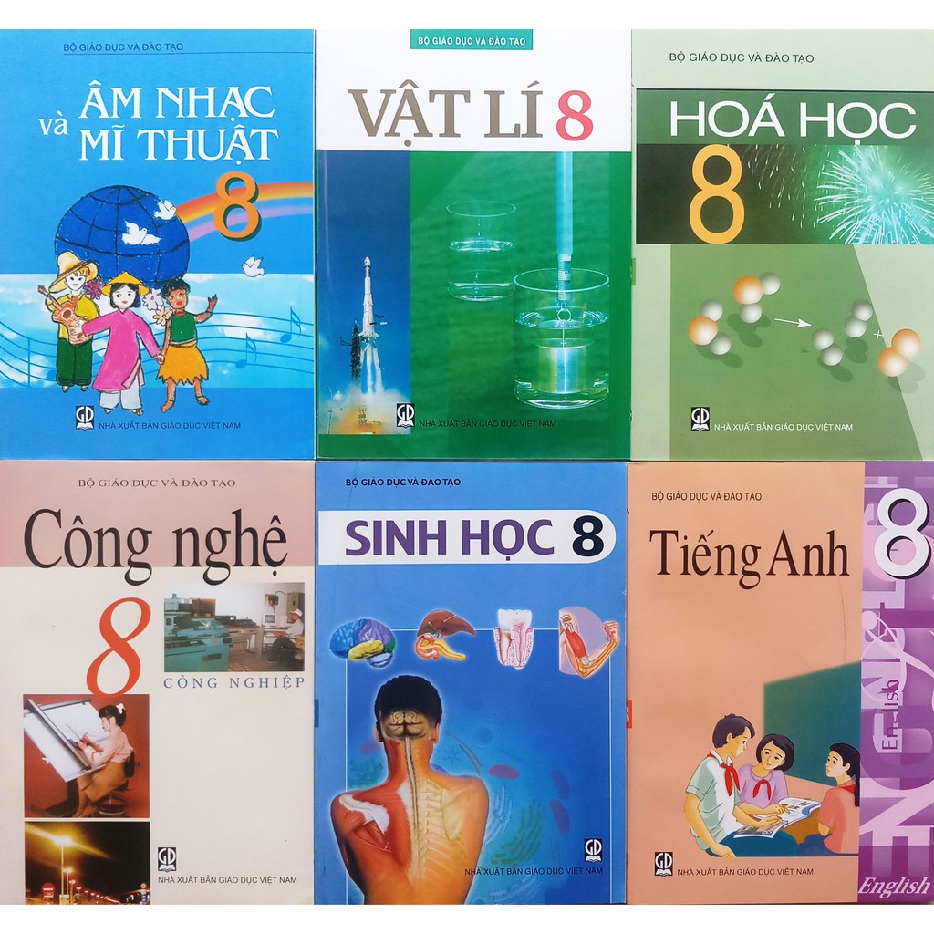 Bộ sách giáo khoa lớp 8 (13 quyển)