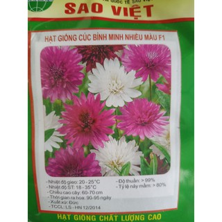 Hạt giống hoa cúc bình minh mix