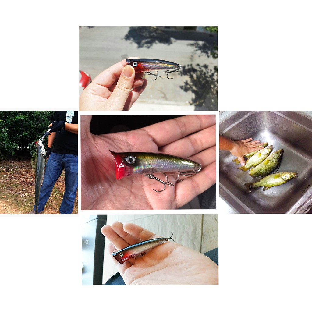 Seaknight Mồi Câu Cá Nhân Tạo sk004