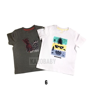 Combo 02 áo thun bé trai 2-4t