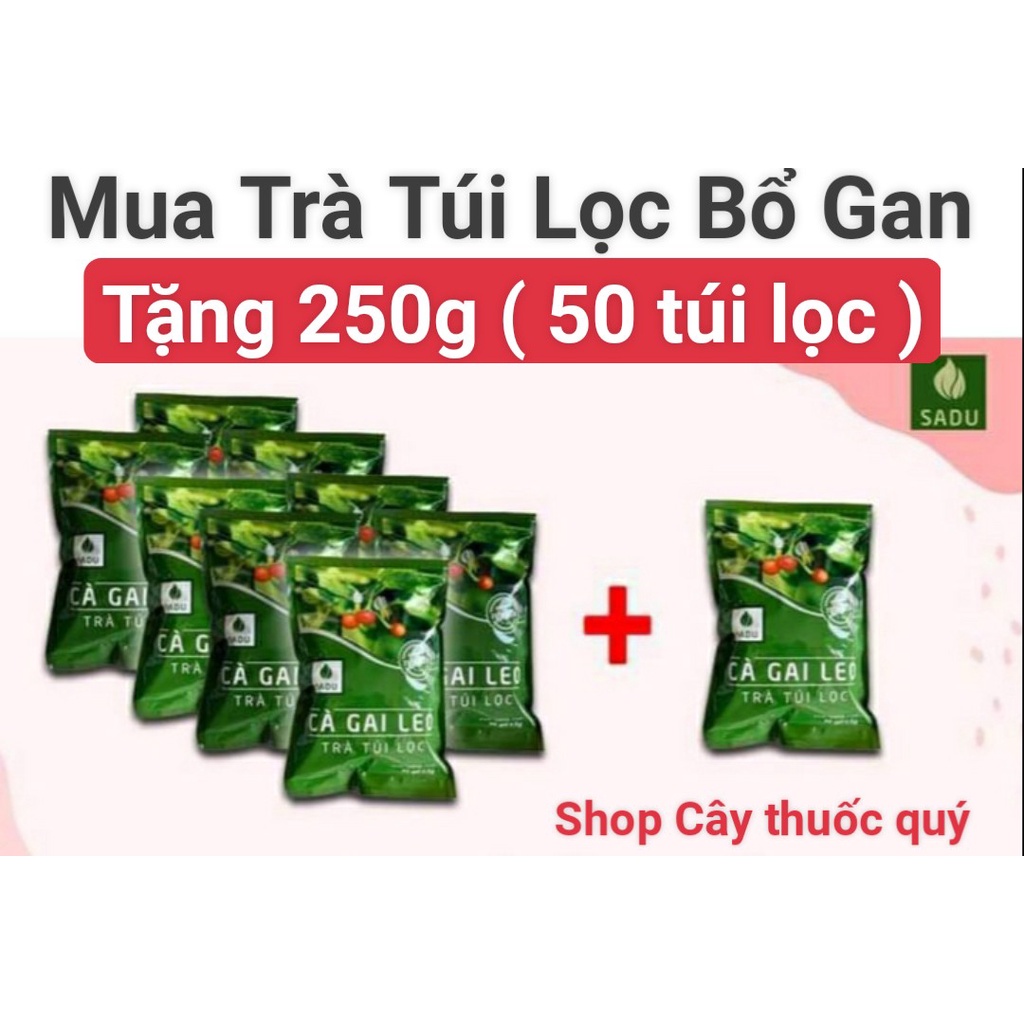 Combo 2kg ( 8 bịch 250g ) trà túi lọc cà gai leo Sadu-tặng 1bịch 250g thải độc gan