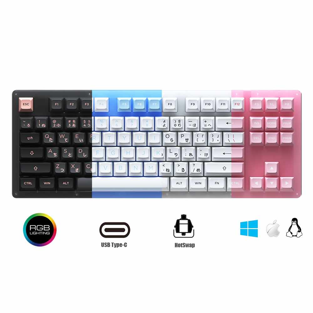 Bàn phím cơ AKKO ACR87 Hotswap / RGB / AKKO CS Switch Jelly Blue , Pink ,White , Black