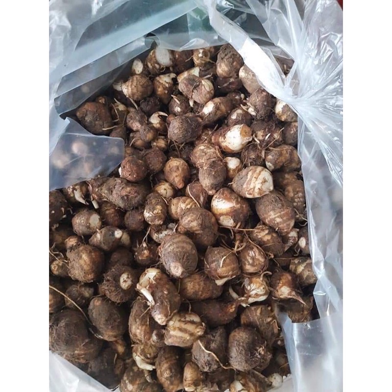 2 kg khoai sọ - khoai trứng tươi ngon hàng chất lượng
