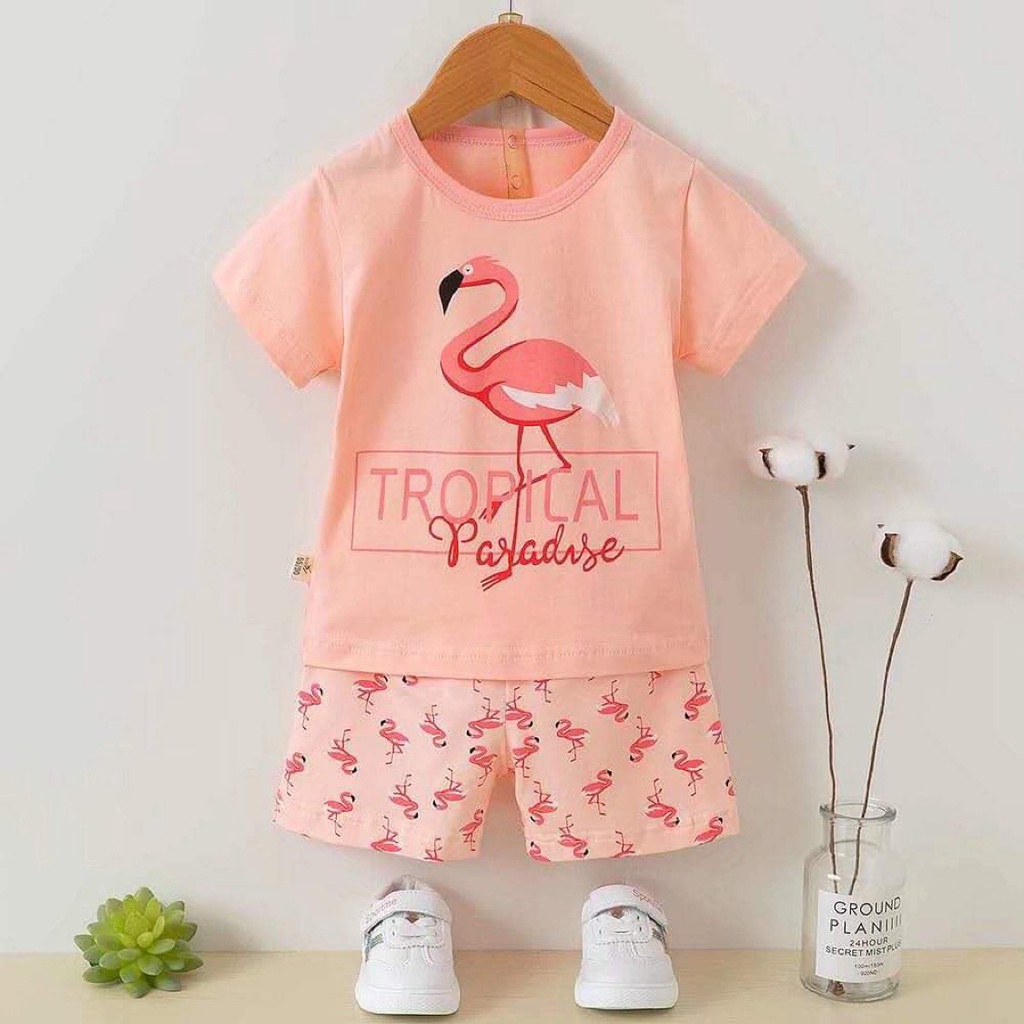 Đồ bộ bé gái - Bộ thun cotton xuất Hàn cộc tay cho bé gái size nhỡ