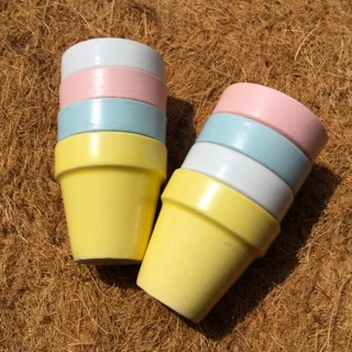 CHẬU SỨ BÁT TRÀNG TRỒNG SEN ĐÁ, XƯƠNG RỒNG (TẶNG SỎI)