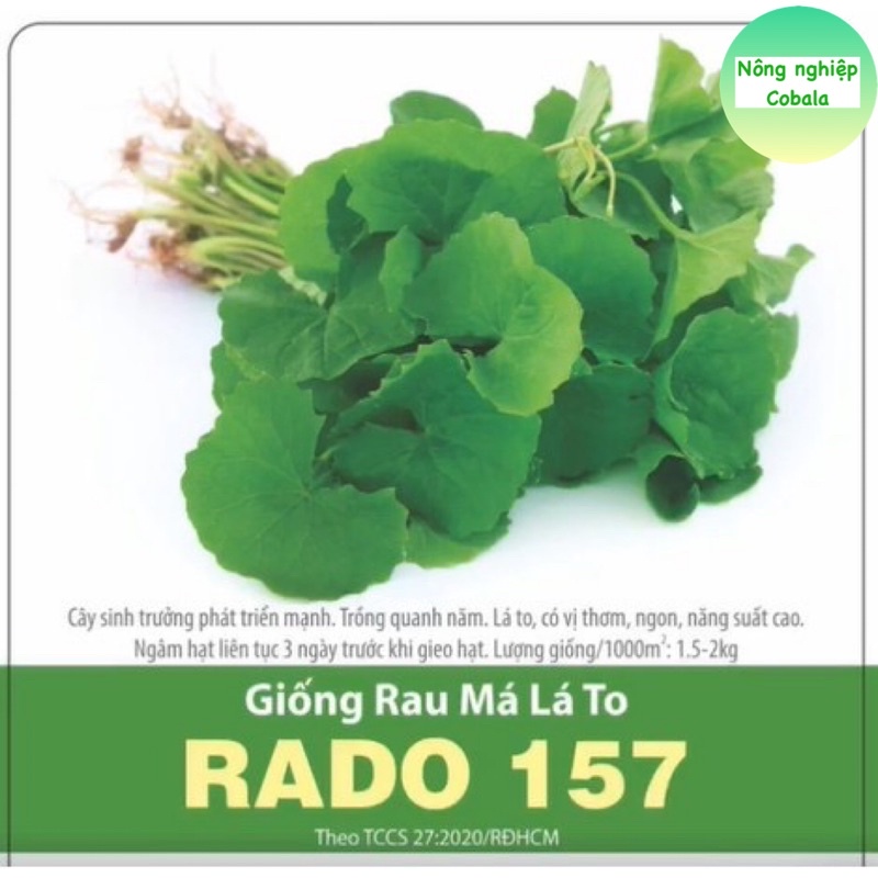 Hạt Giống Rau Má Lá To (RADO157) 1gr