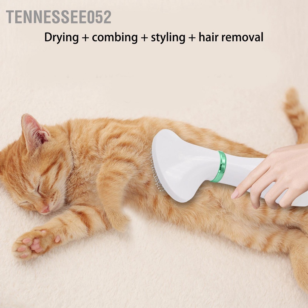 [Hàng Sẵn] Máy Sấy Kiêm Lược Chải Lông Chó Mèo Đa Năng 2 Trong 1【Tennessee052】