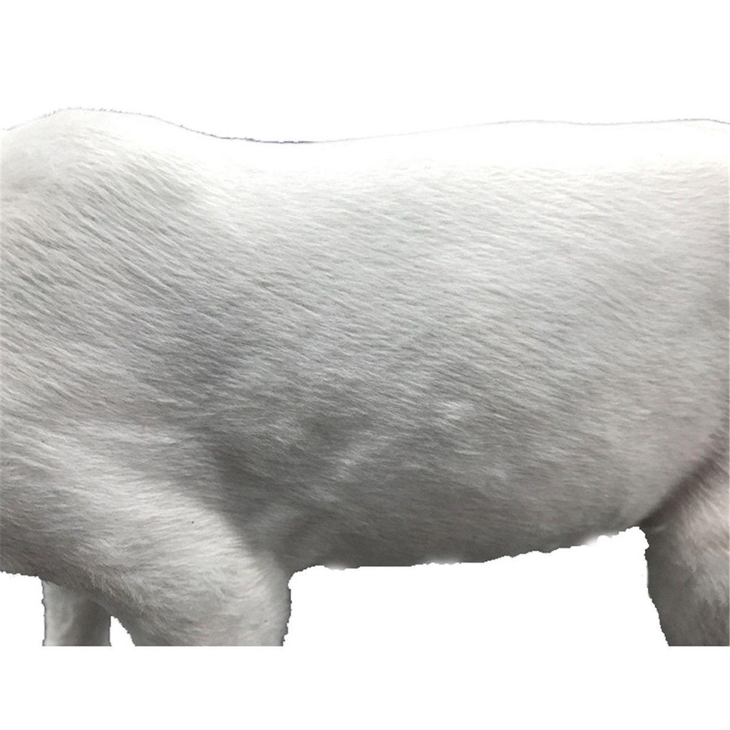 CONOPERY Phụ Kiện Trang Trí Giáng Sinh Hình Chú Tuần Lộc Màu Trắng Độc Đáo