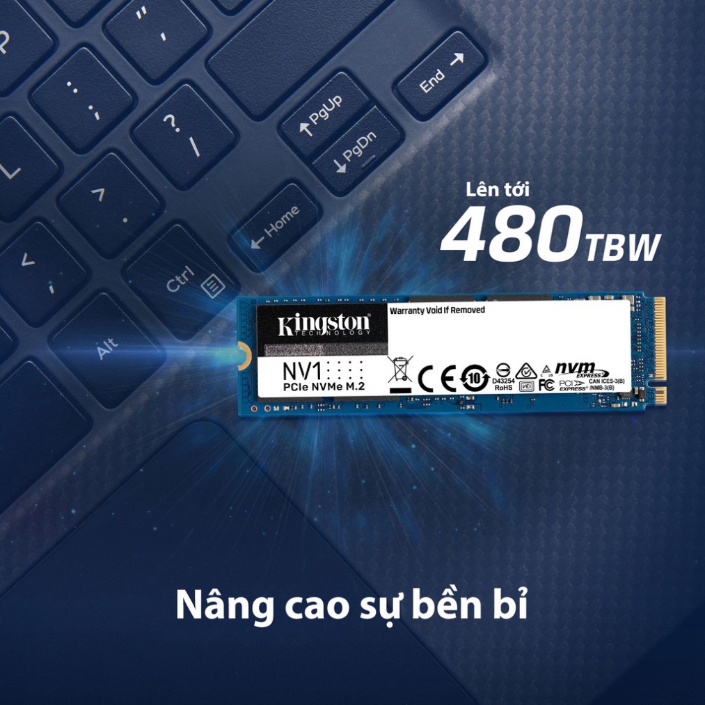 Ổ cứng SSD Kingston NV1 NVMe PCIe M.2 tốc độ 2100/1700MB/s SNVS | BigBuy360 - bigbuy360.vn