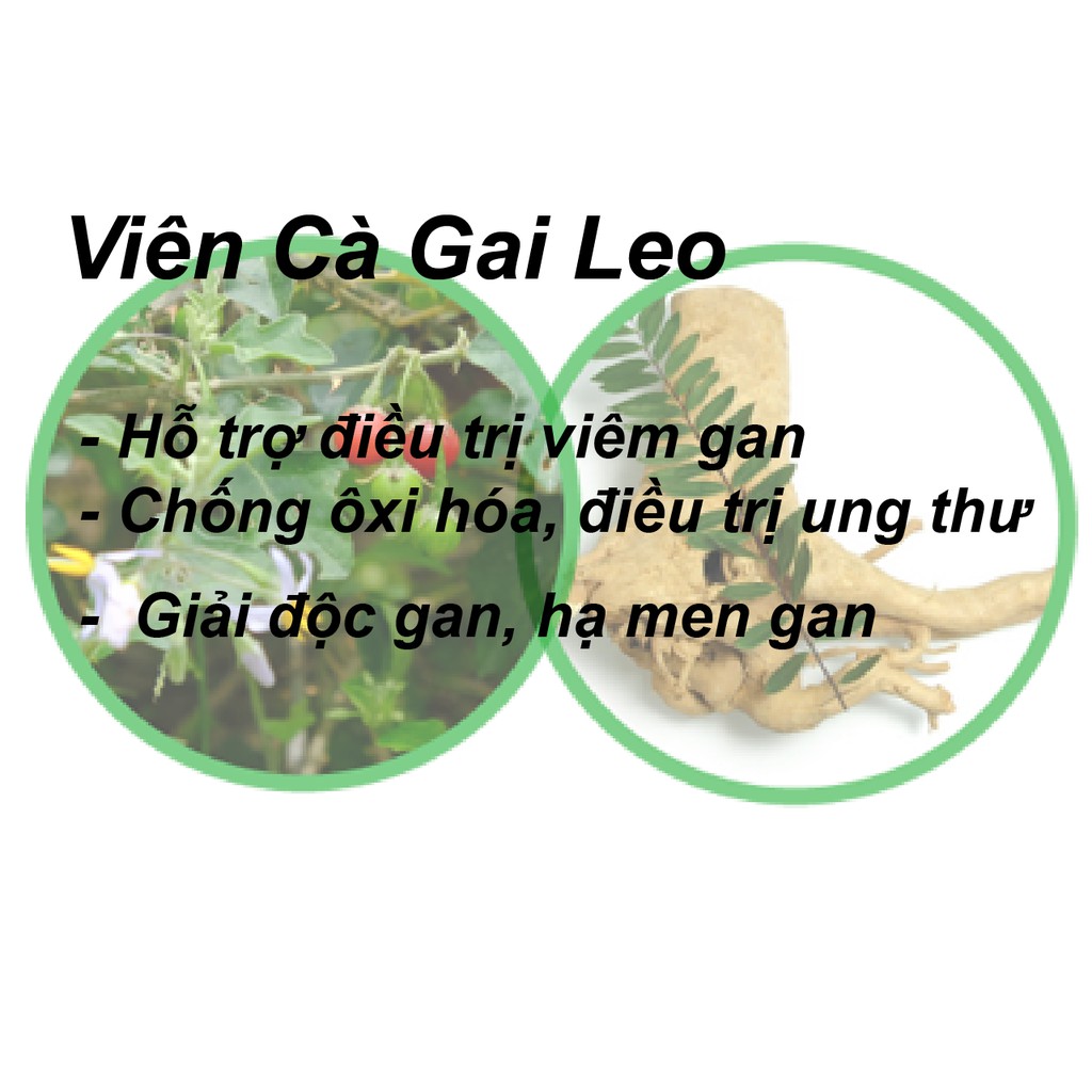 💥Viên cà gai leo cây mật nhân🌿 hỗ trợ Cải Thiện Chức Năng Gan, Hàng Loại 1