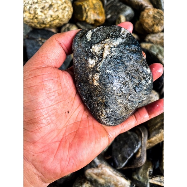 Đá Cuội Vân Mây Loại Cứng (1kg) Setup Bể Thuỷ Sinh,Tiểu Cảnh Bán Cạn, Trang Trí Bể Cá Cảnh