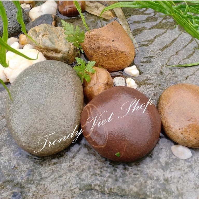 Đá Kì Tắm Tự Nhiên, Tẩy tế bào chết, Làm đẹp da | BigBuy360 - bigbuy360.vn