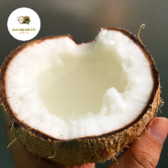 Dừa Sáp Cầu Kè loại thường ngon | BigBuy360 - bigbuy360.vn
