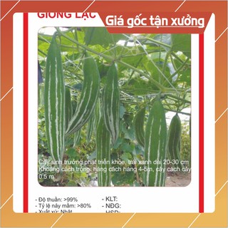 Hạt Giống Lặc Lày (Mướp Nhật) 10 Hạt Hạt giống