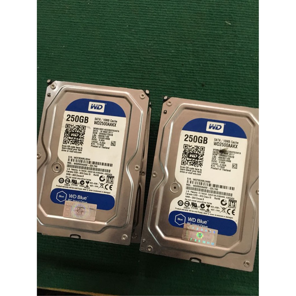 HDD 250G SEAGATE & WESTERN HÀNG CÔNG TY BÓC MÁY ( BH 01 tháng, 01 ĐỔI 01) | BigBuy360 - bigbuy360.vn