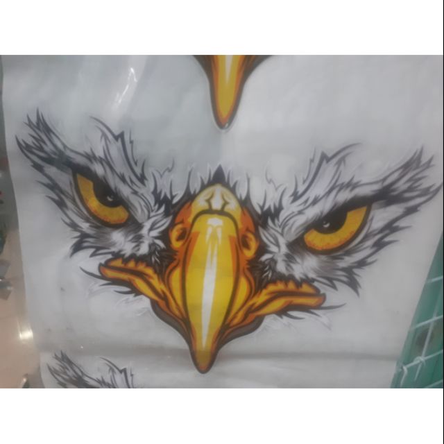 Decal mặt đại bàng