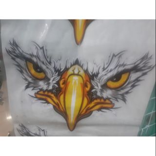 Decal mặt đại bàng