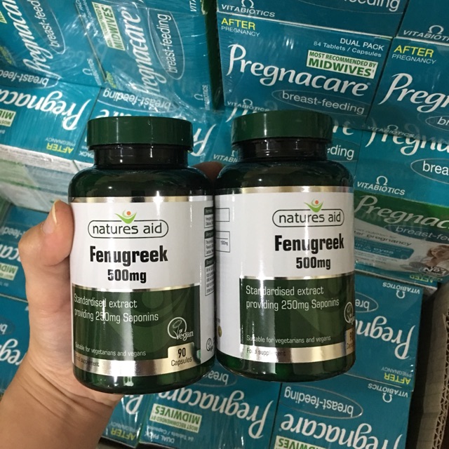 Cỏ cà ri Fenugreek