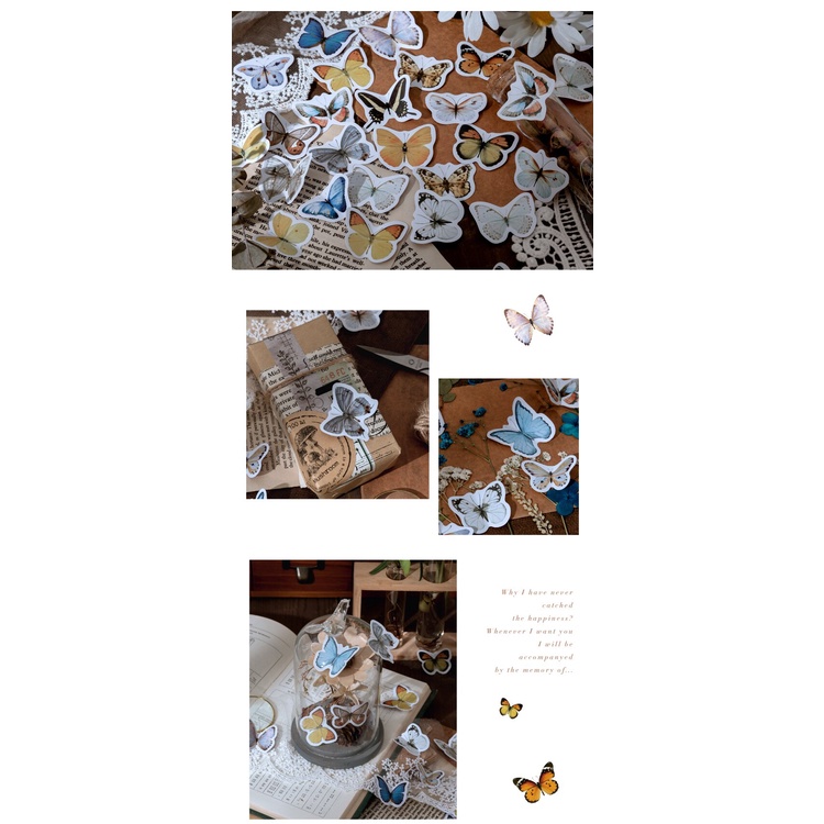 Set 46 miếng dán trang trí hình bướm dễ thương