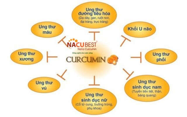 👨‍💻 Rẻ nhất Shopee 👉Nacubest 50g - tinh chất nghệ Nano 20%giúp điều trị viêm loét dạ dày, hỗ trợ điều trị ung thư.. | BigBuy360 - bigbuy360.vn