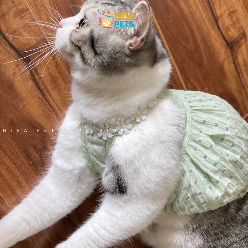 Váy Áo Cho Chó Mèo Thời Trang Hàn Quốc Quần Áo Thú Cưng Thiết Kế Dễ Thương Mùa Hè Hihapet.