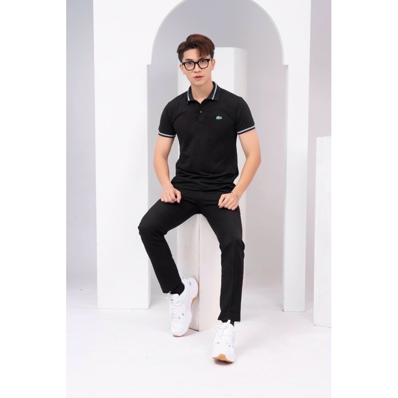 Áo phông nam PO-LO cá sấu 4 màu | BigBuy360 - bigbuy360.vn