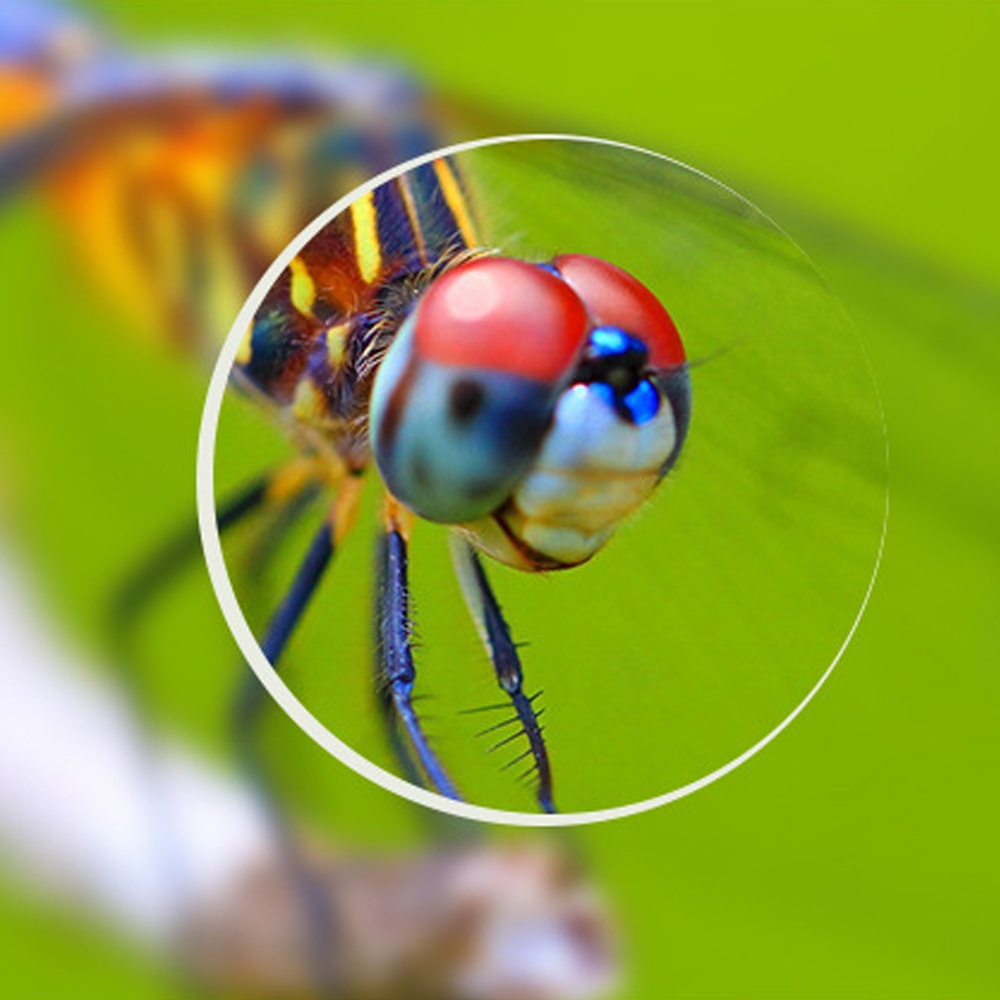 Mắt Kính Đọc Sách Chống Tia UV Có Thể Gấp Gọn Siêu Nhẹ Tiện Dụng