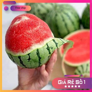10 Hạt giống Dưa hấu Không hạt