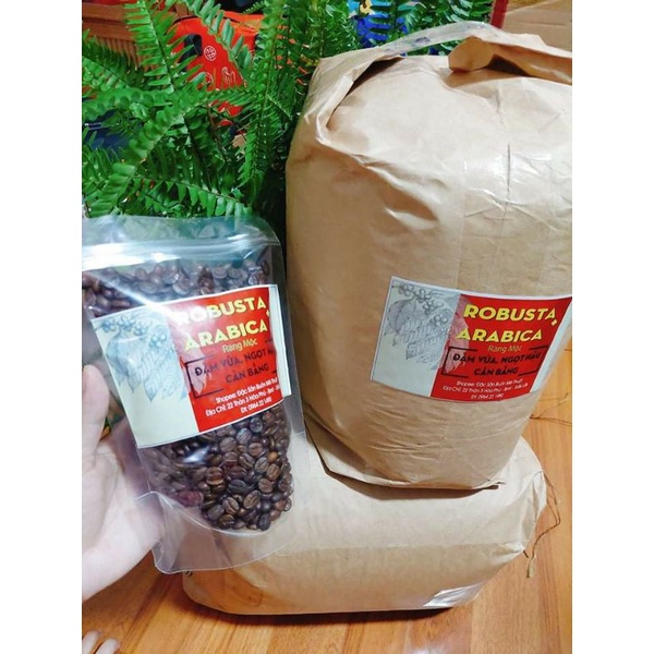 cafe Arabica &amp; robusta 5kg