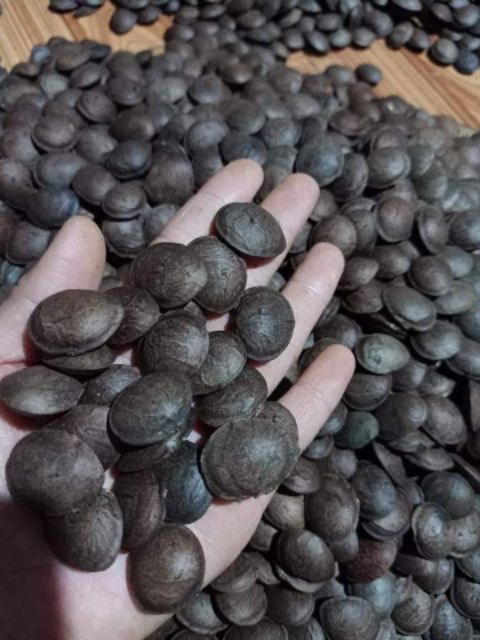1kg Hạt SaChi rang sấy nhà làm | BigBuy360 - bigbuy360.vn