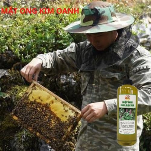 Mật ong  - nguyên chất tự nhiên đặc sản Tây Nguyên Kim Oanh