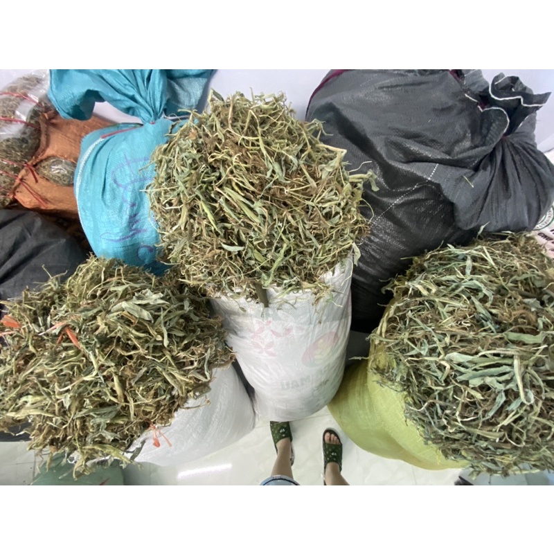CỎ CHÂN VỊT Khô nguyên chất, loại 1 ( mới, sạch, đẹp) dùng cho thuỷ đậu, sởi, viêm da, mẩn ngứa [500g]
