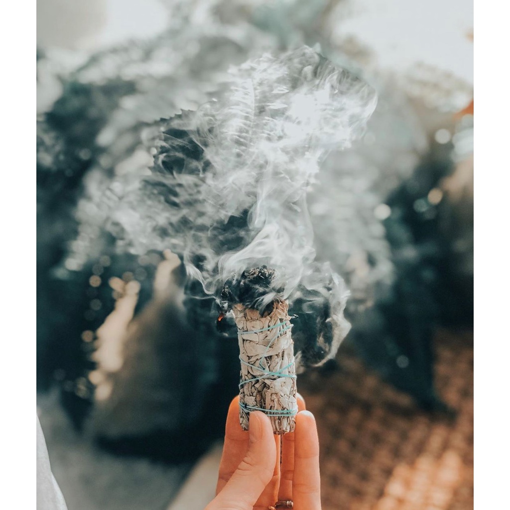 Bó đại xô thơm trắng white sage xông nhà thanh tẩy