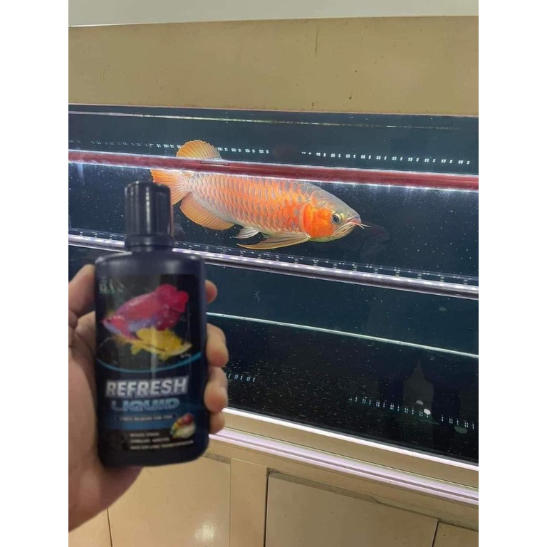 REFRESH LIQUID Dưỡng Chất Đậm Đặc Giúp Cá Khỏe, Giảm Stress Nhanh, Tăng Sức Đề Kháng, Ngăn Ngừa Bệnh Tật Chai 100ml