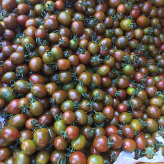 Hạt giống cà chua bi socola