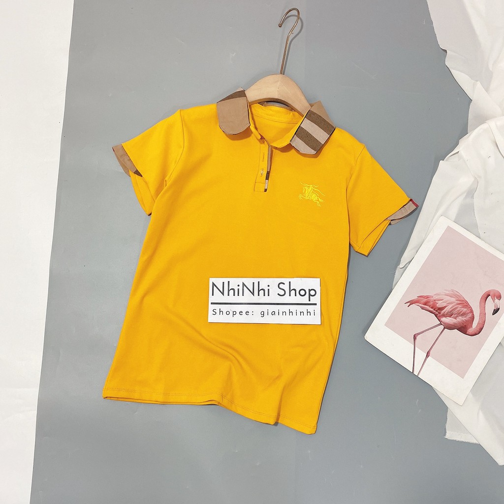 Áo phông ngắn tay thêu ngựa, Áo thun cổ bẻ pha kẻ BBR ôm dáng AS6012 - NhiNhi Shop