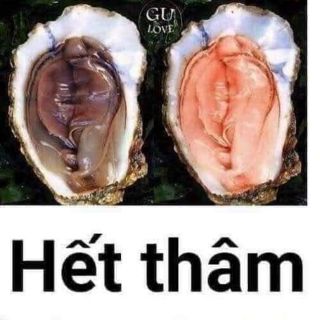 Lady care(gel phụ khoa bím)
