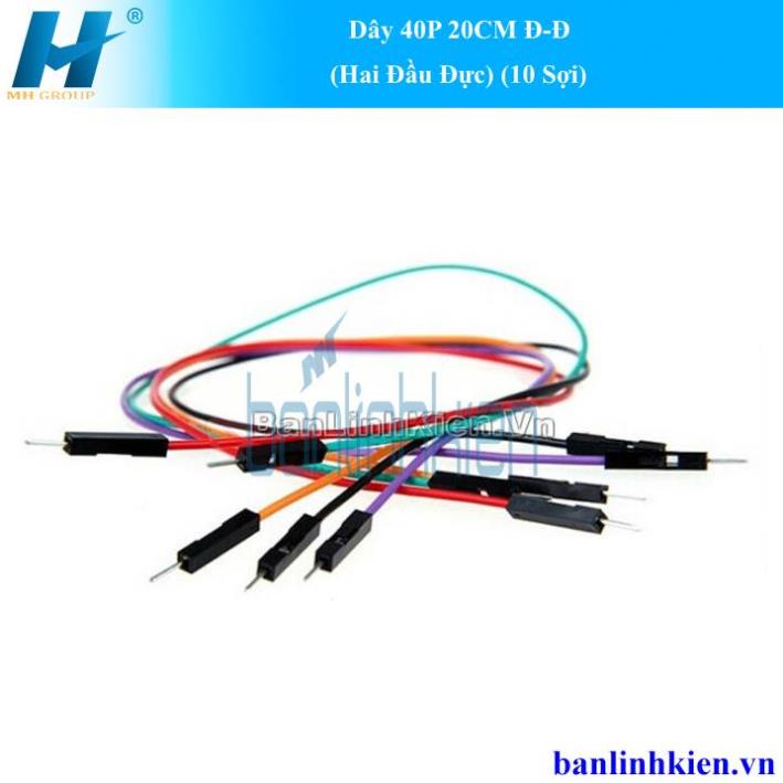 Dây 40P 20CM Đ-Đ (Hai Đầu Đực) (10 Sợi)
