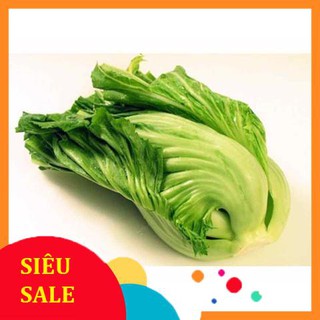 Hạt Giống Cải Tòa Xại/ Cải Làm Chua (20 Gr) - [MUA 3 TẶNG 1 CÙNG LOẠI] - Dễ Trồng, Giòn, Dinh Dưỡng