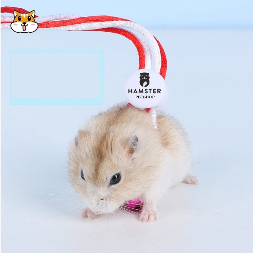 Dây dắt hamster, thỏ, Sóc , đuôi mập, chuột lang